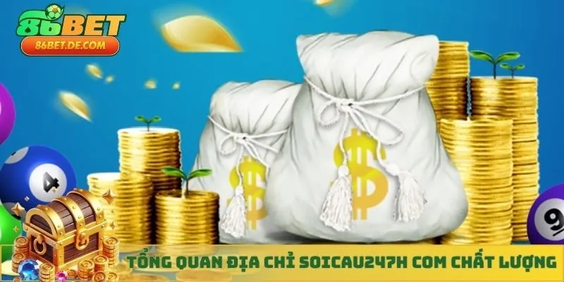 Tổng quan về địa chỉ Soicau247h COM chất lượng